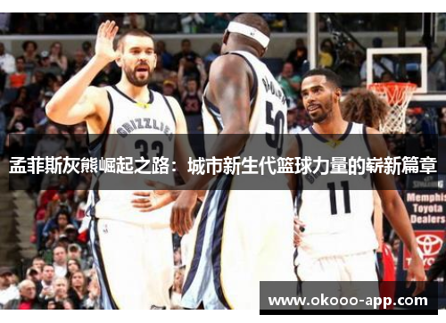 孟菲斯灰熊崛起之路：城市新生代篮球力量的崭新篇章
